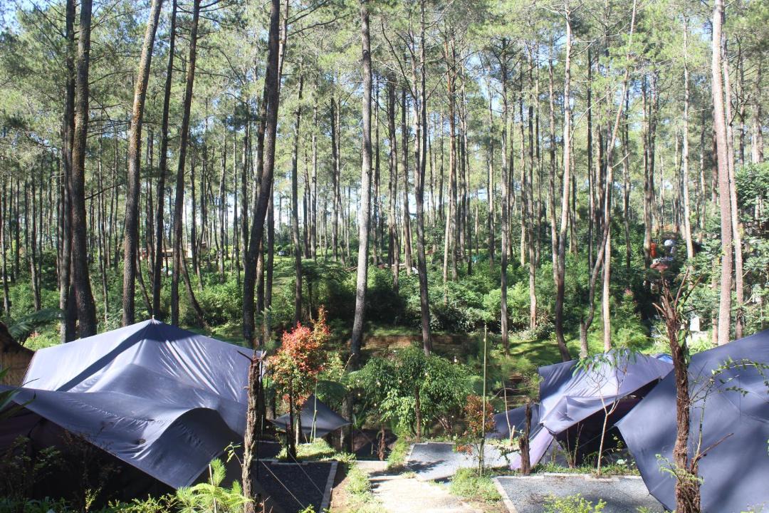 Photo of Others in Cikole