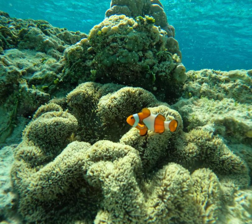 Photo of Others in Gili Meno