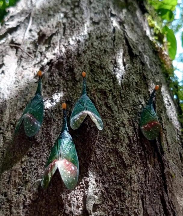 Photo of Others in Bukit Lawang