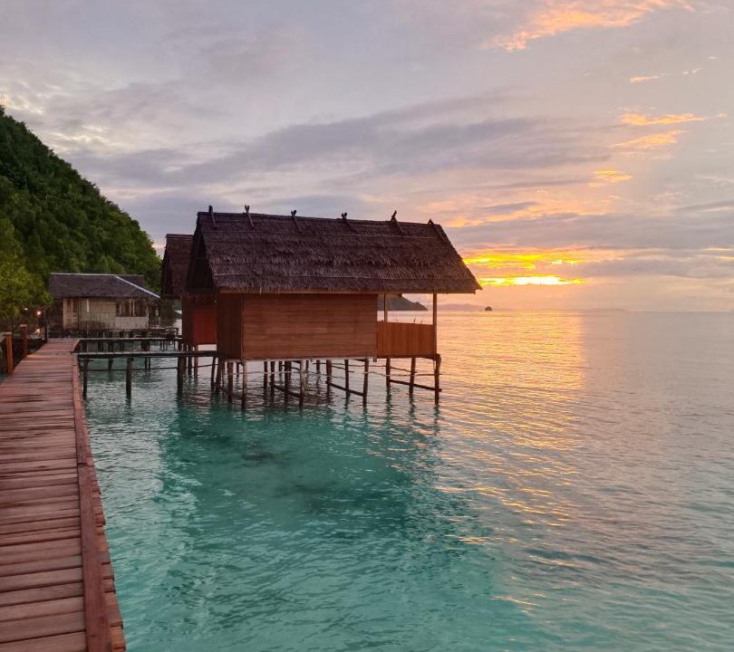 Photo of Others in Pianemo Islands
