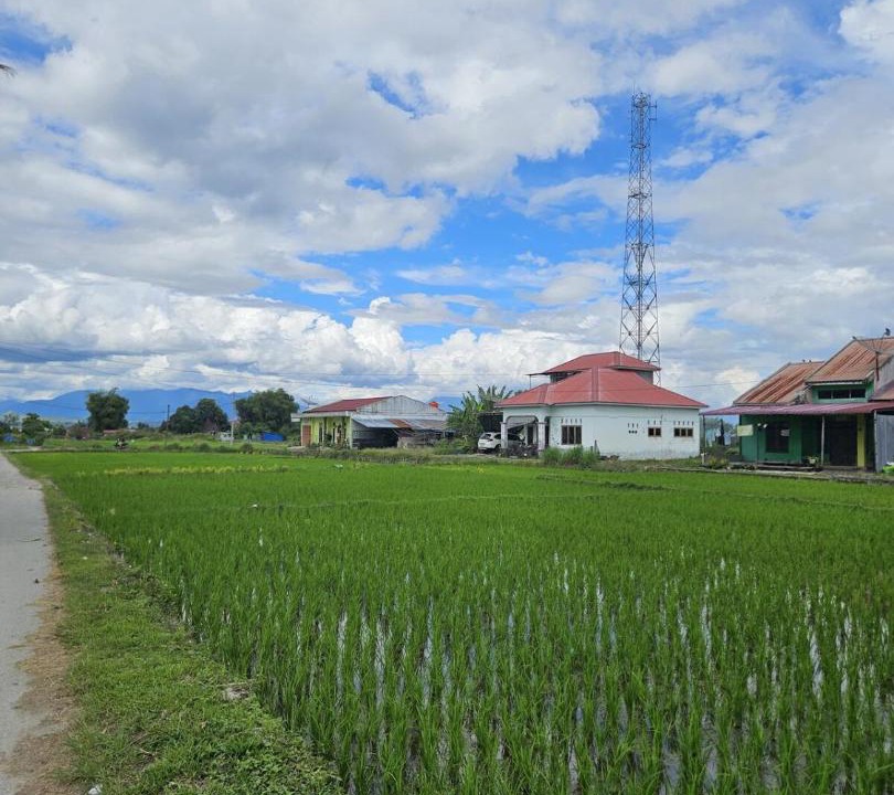 Photo of Others in Balige