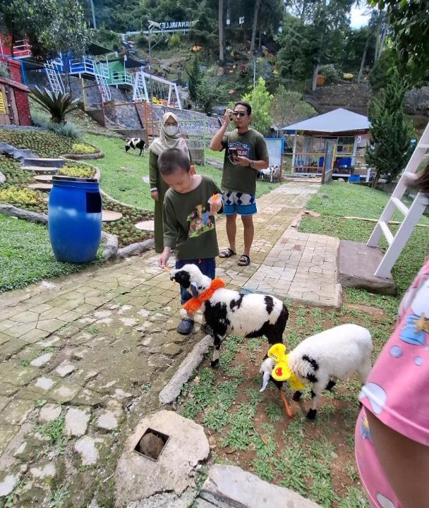 Photo of Others in Cibodas
