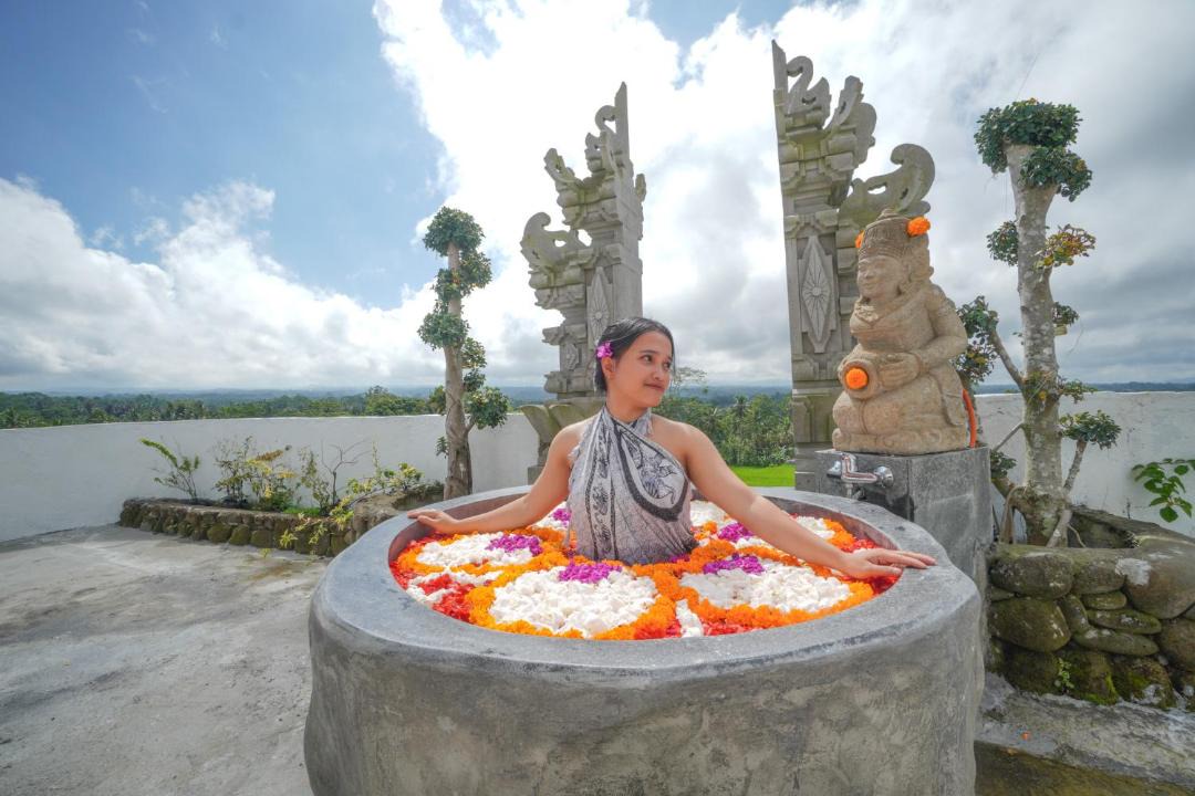 Photo of Others in Taro