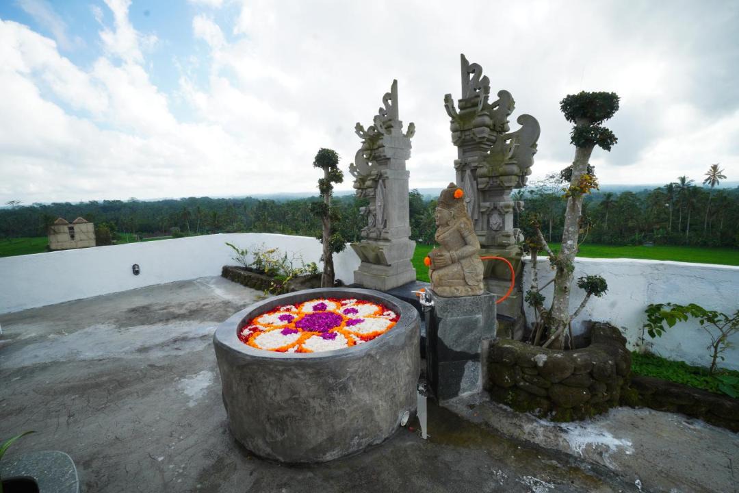 Photo of Others in Taro