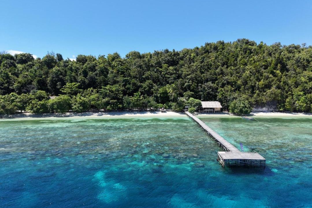 Photo of Others in Kri
