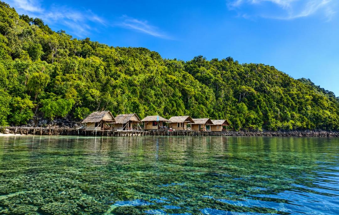 Photo of Others in Pianemo Islands
