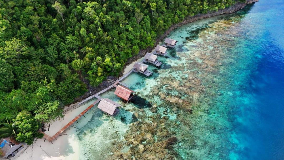 Photo of Others in Pianemo Islands