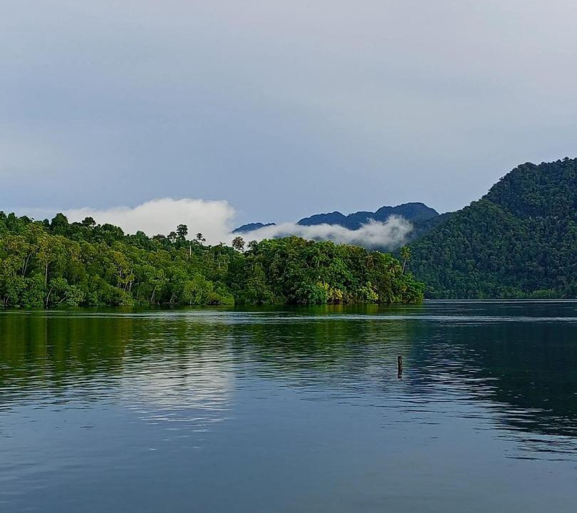 Photo of Others in Raja Ampat
