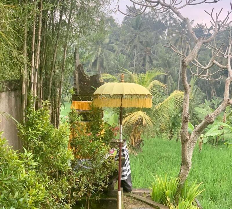 Photo of Others in Pejeng Kawan