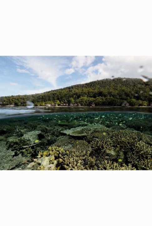 Photo of Others in Raja Ampat