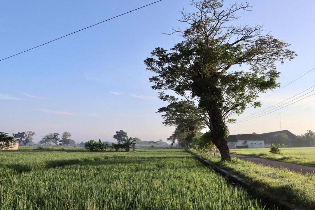 Photo of Others in Klaten