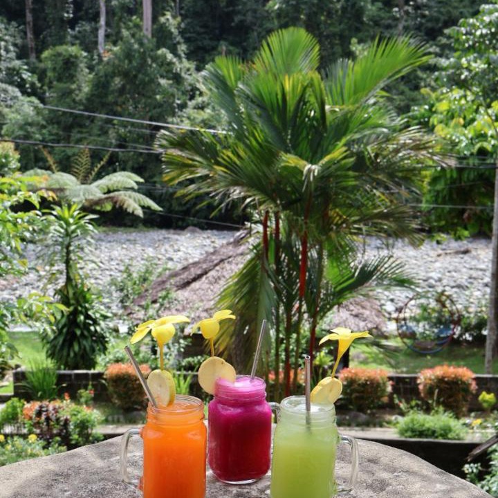 Photo of Others in Bukit Lawang