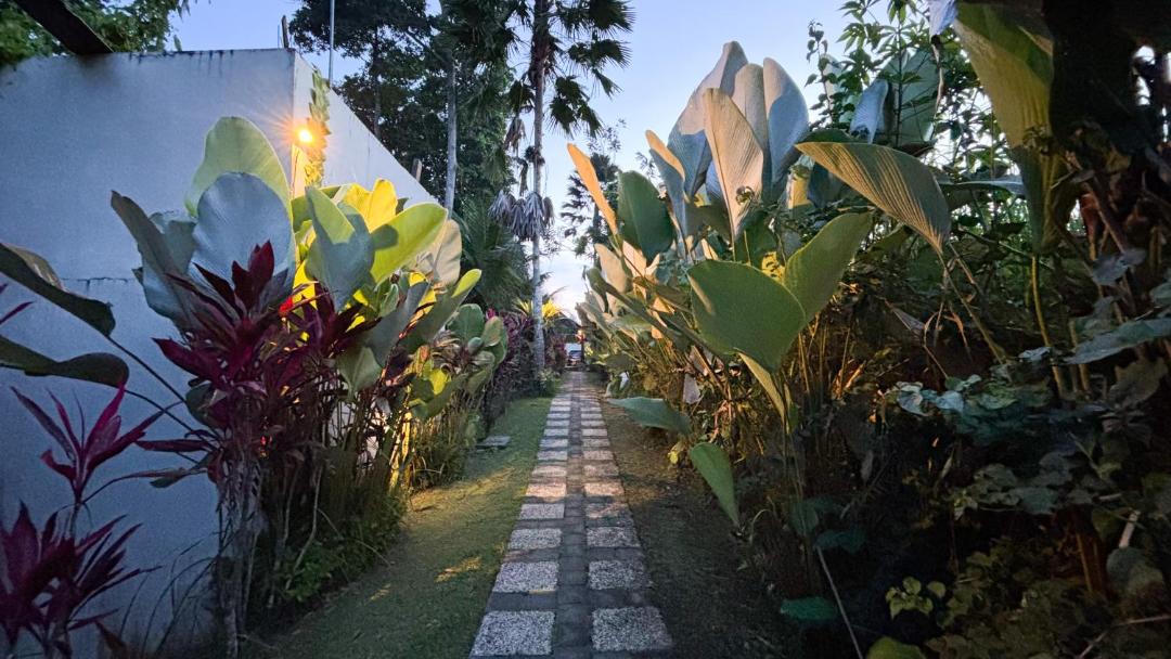 Photo of Others in Bongkasa Pertiwi