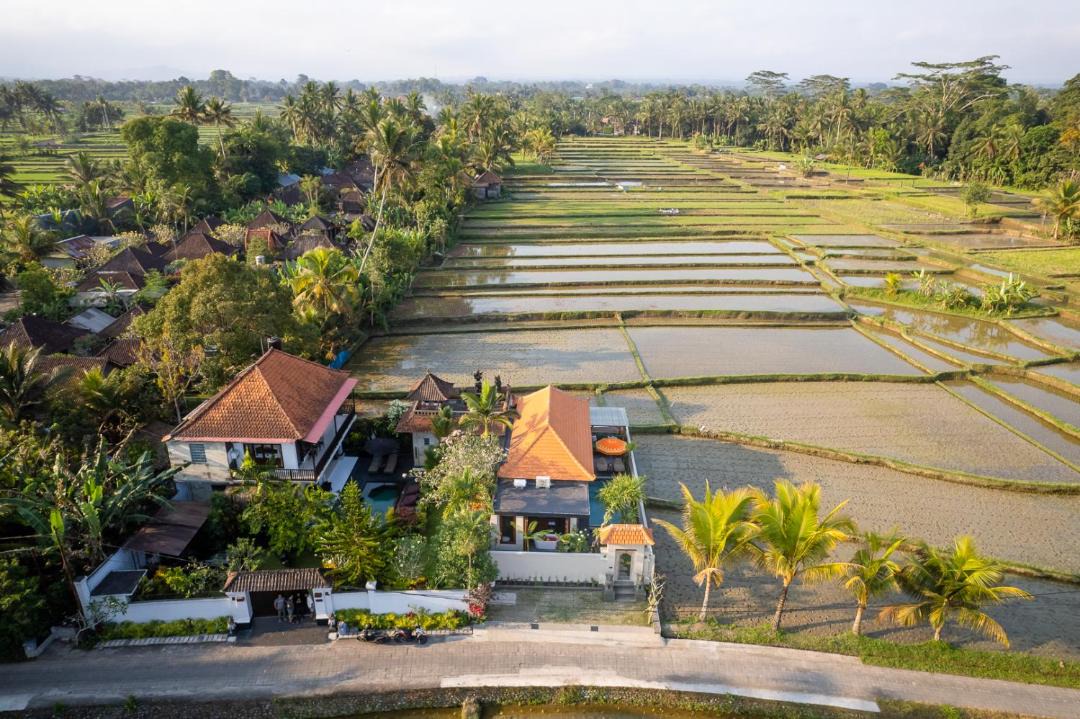 Photo of Others in Kedewatan
