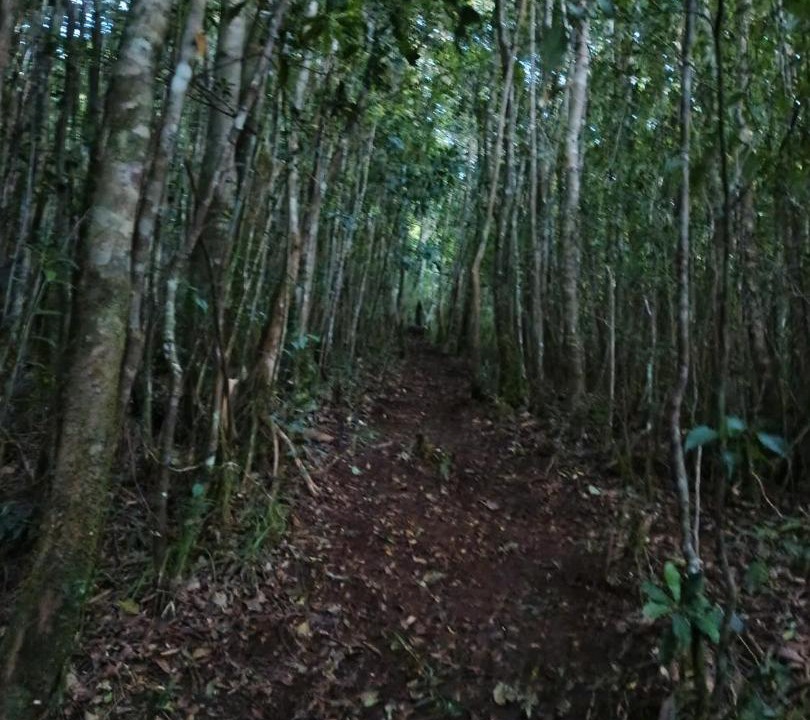 Photo of Others in Kumba