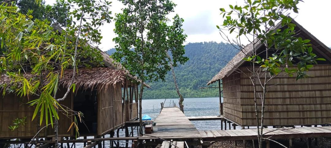 Photo of Others in Raja Ampat
