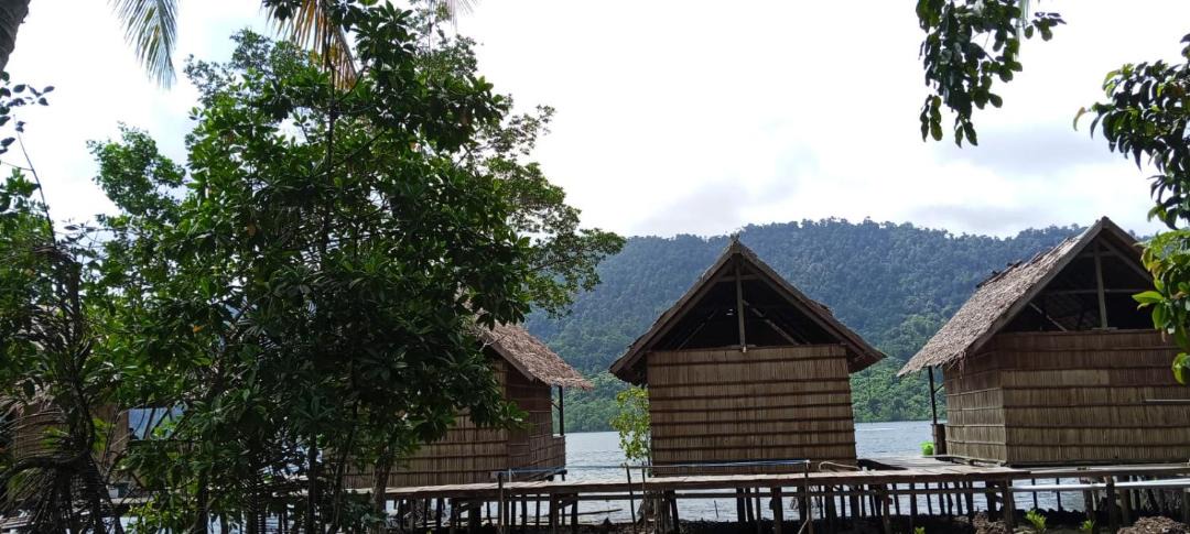 Photo of Others in Raja Ampat