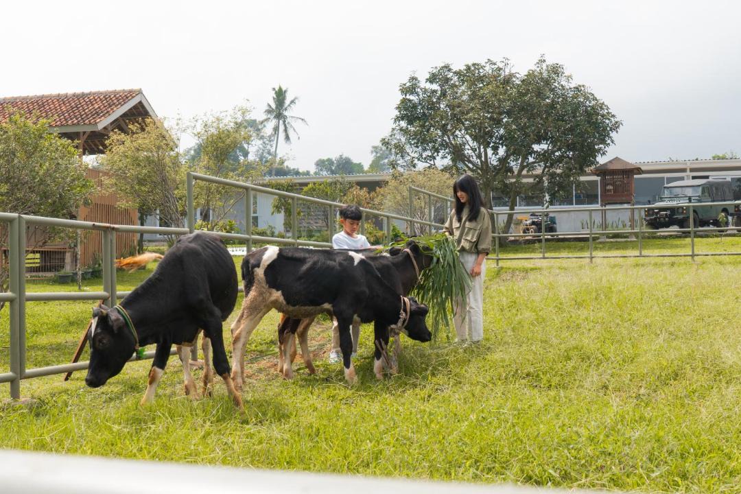 Photo of Others in Cibeleng