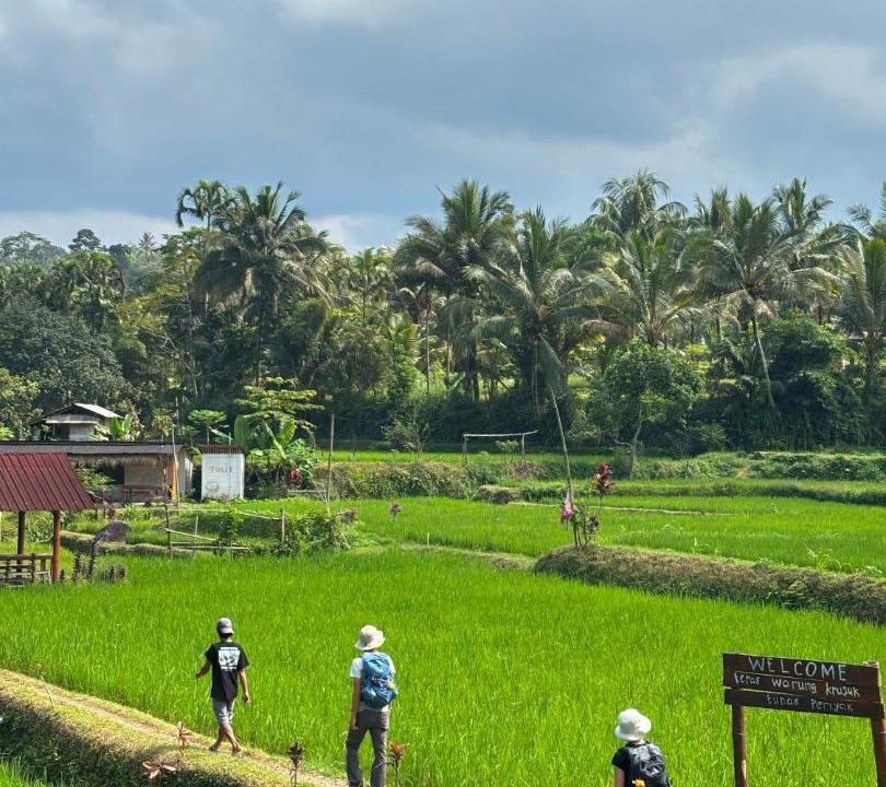 Photo of Others in Tetebatu