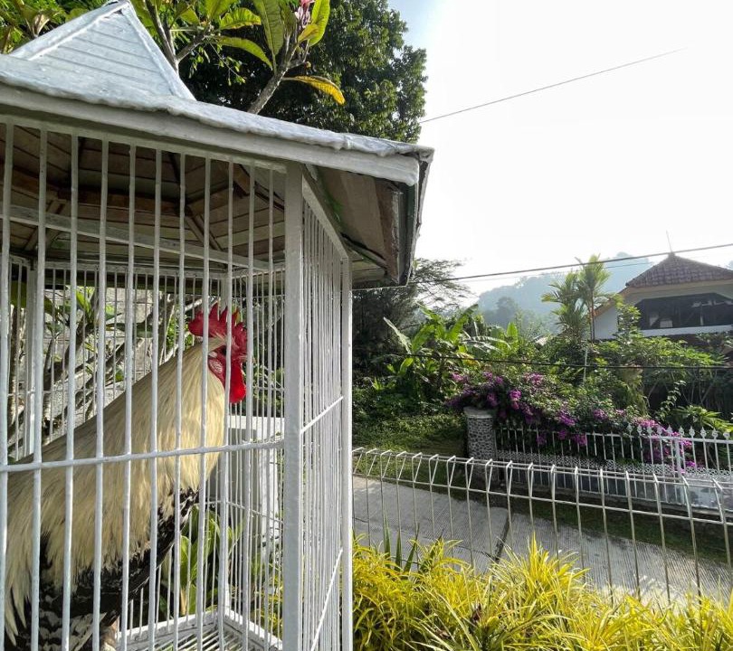 Photo of Others in Ciumbuleuit