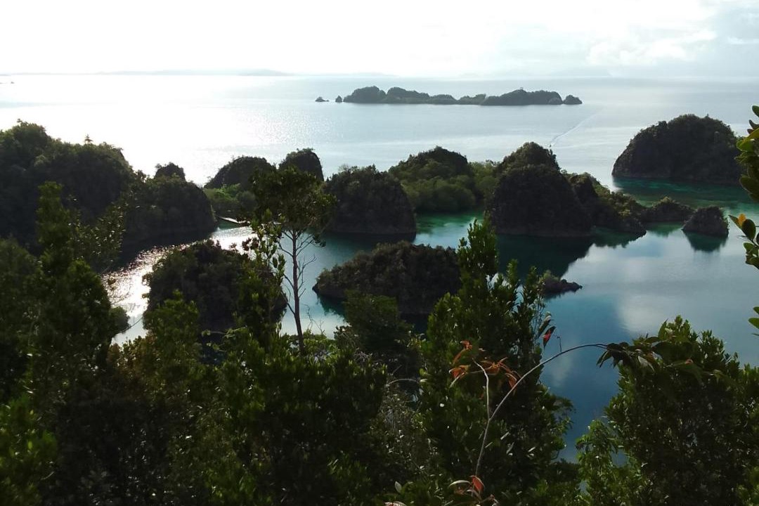 Photo of Others in Raja Ampat