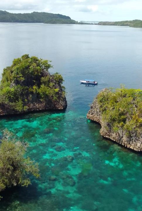 Photo of Others in Raja Ampat