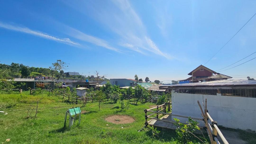 Photo of Others in Cipanas