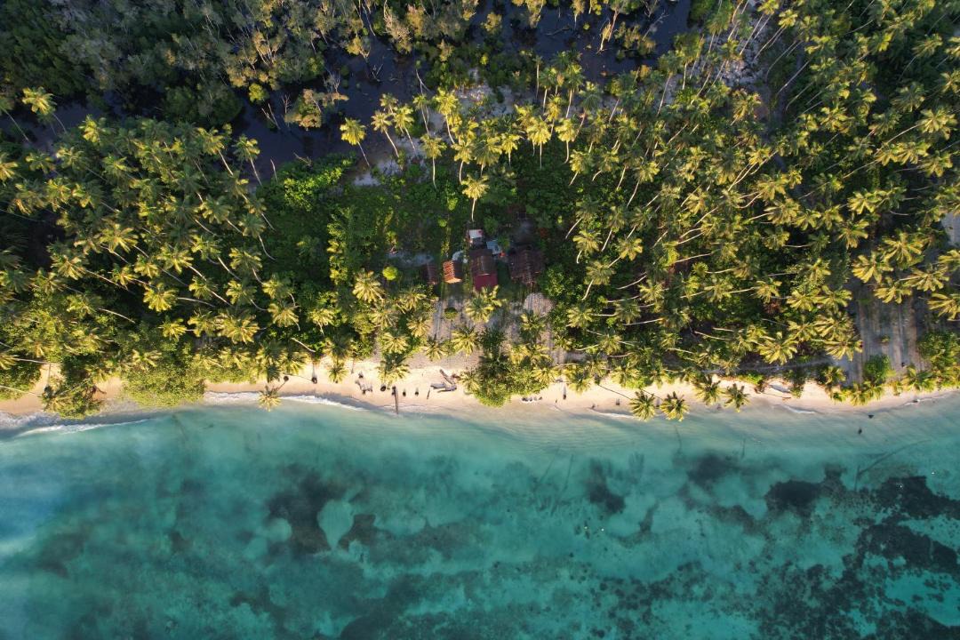 Photo of Others in Mentawai Islands