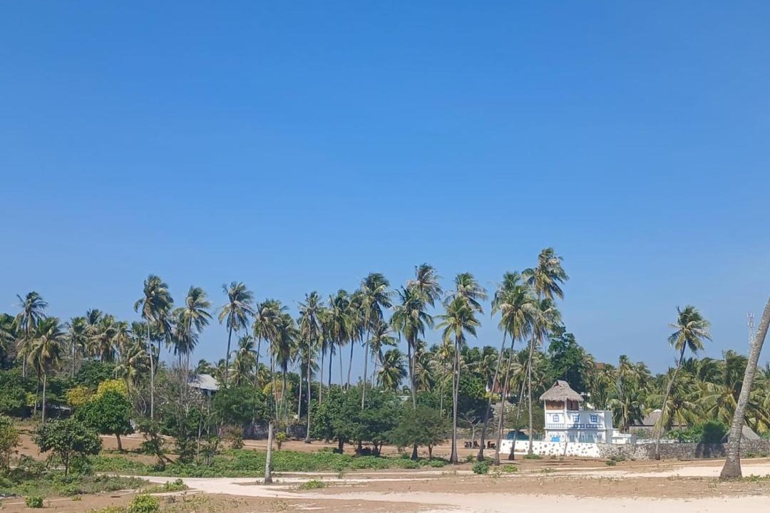 Photo of Others in Rote Island