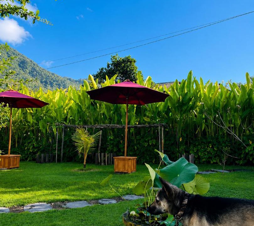 Photo of Others in Manggis