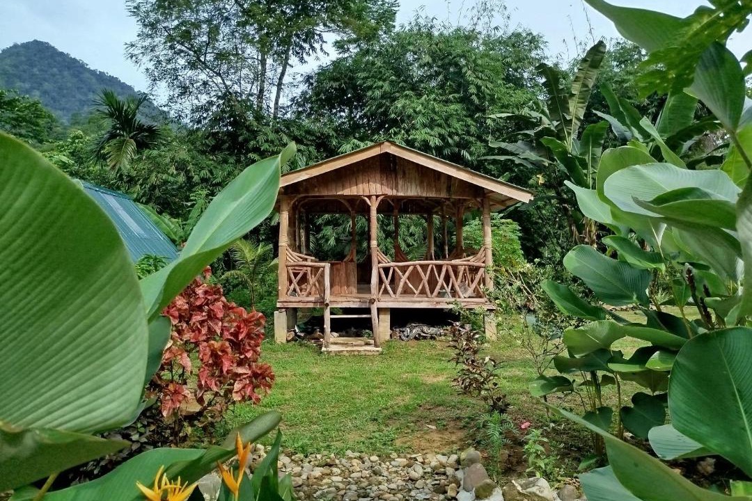 Photo of Others in Bohorok