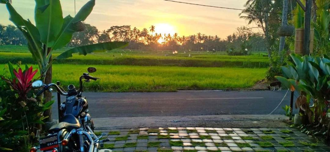 Photo of Others in Bongkasa Pertiwi