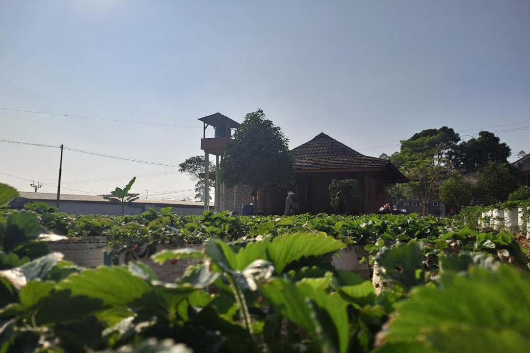 Photo of Others in Ciwidey