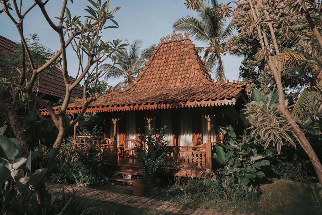 Photo of Others in Selemadeg