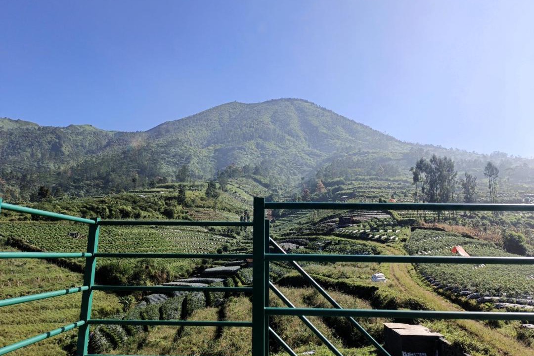 Photo of Others in Wonosobo