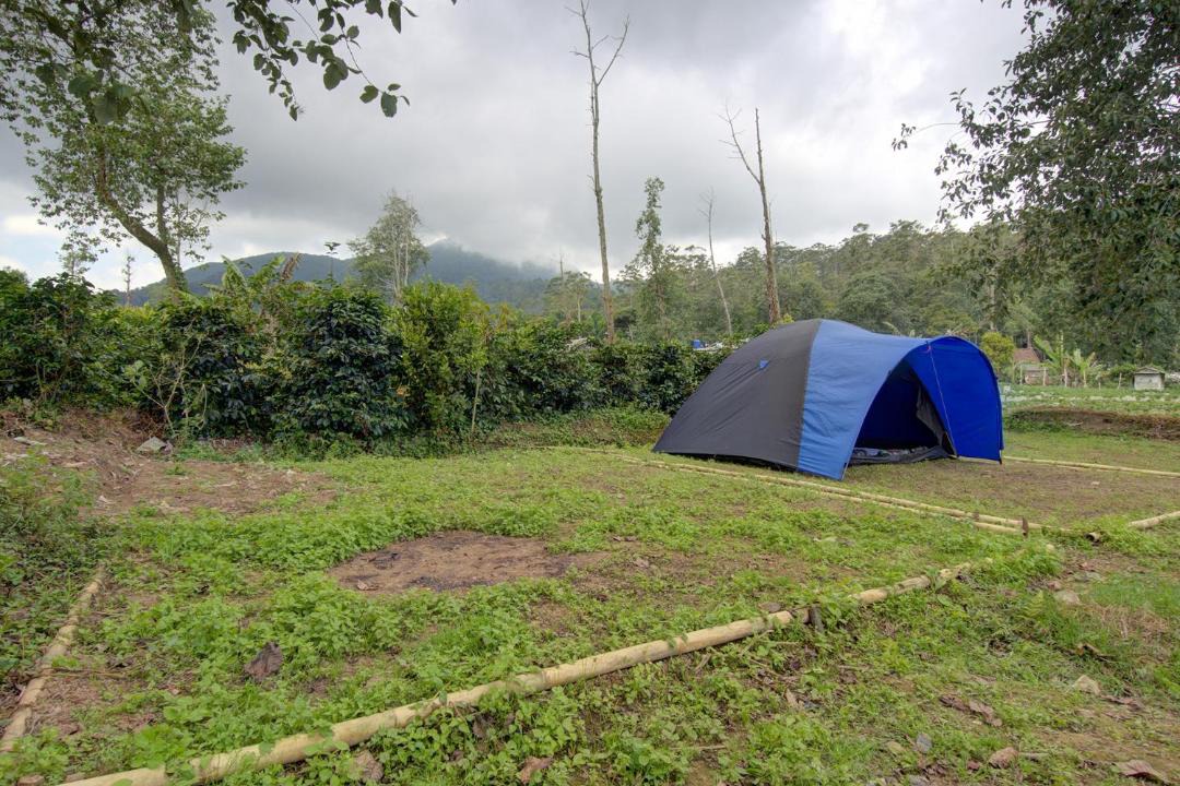 Photo of Outdoor in Rancabali