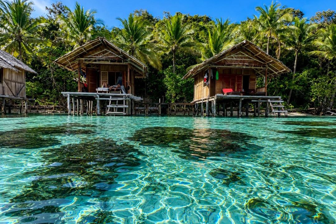 Photo of Others in Raja Ampat