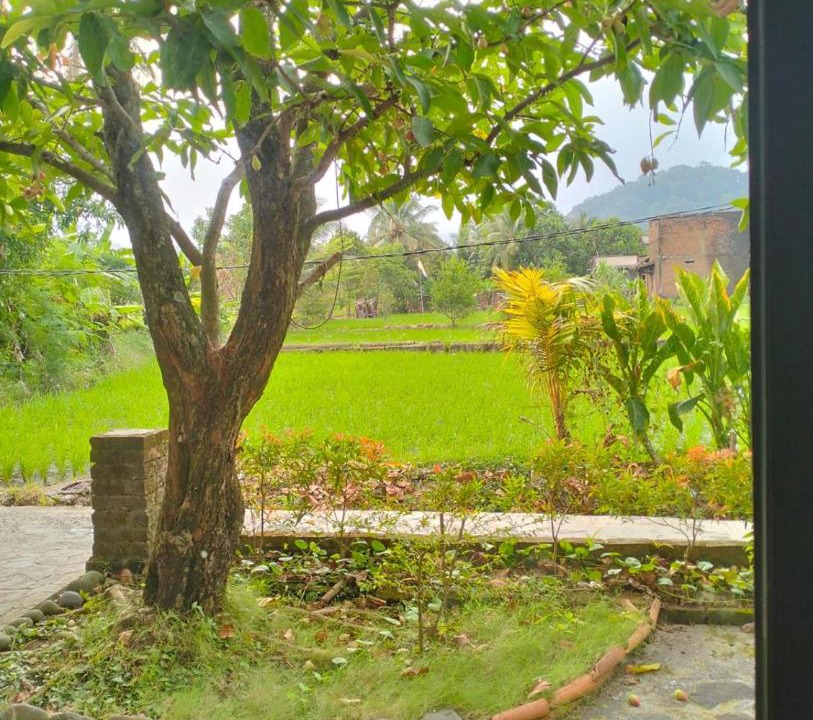 Photo of Others in Cikakak