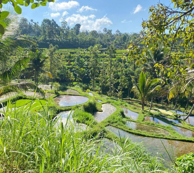 Photo of Others in Tetebatu