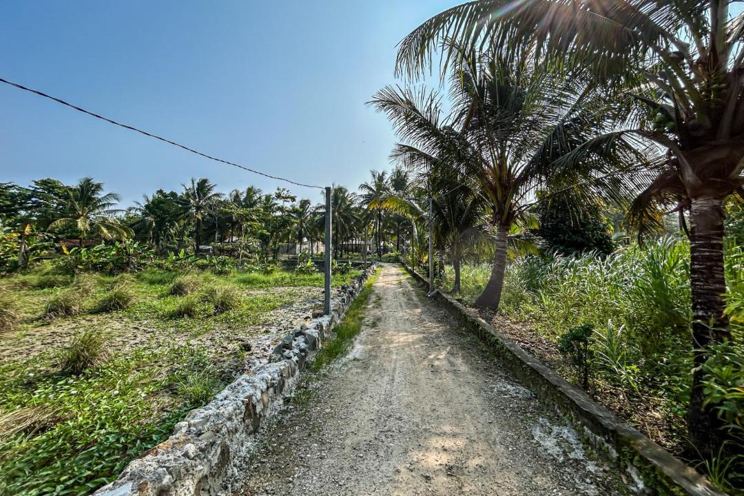 Photo of Others in Ujung Genteng