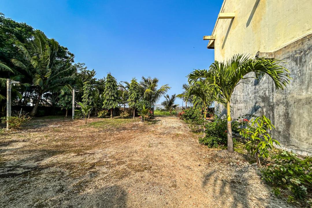 Photo of Others in Ujung Genteng