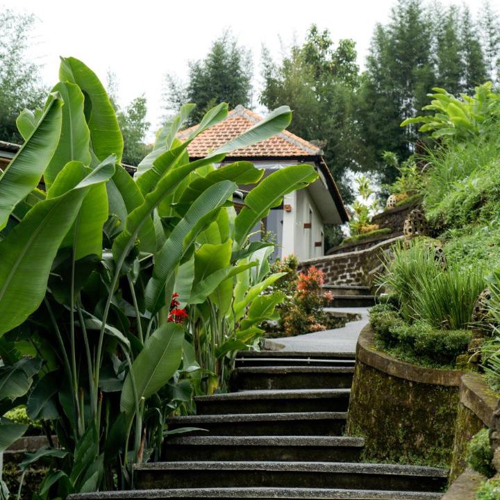 Photo of Others in Gobleg