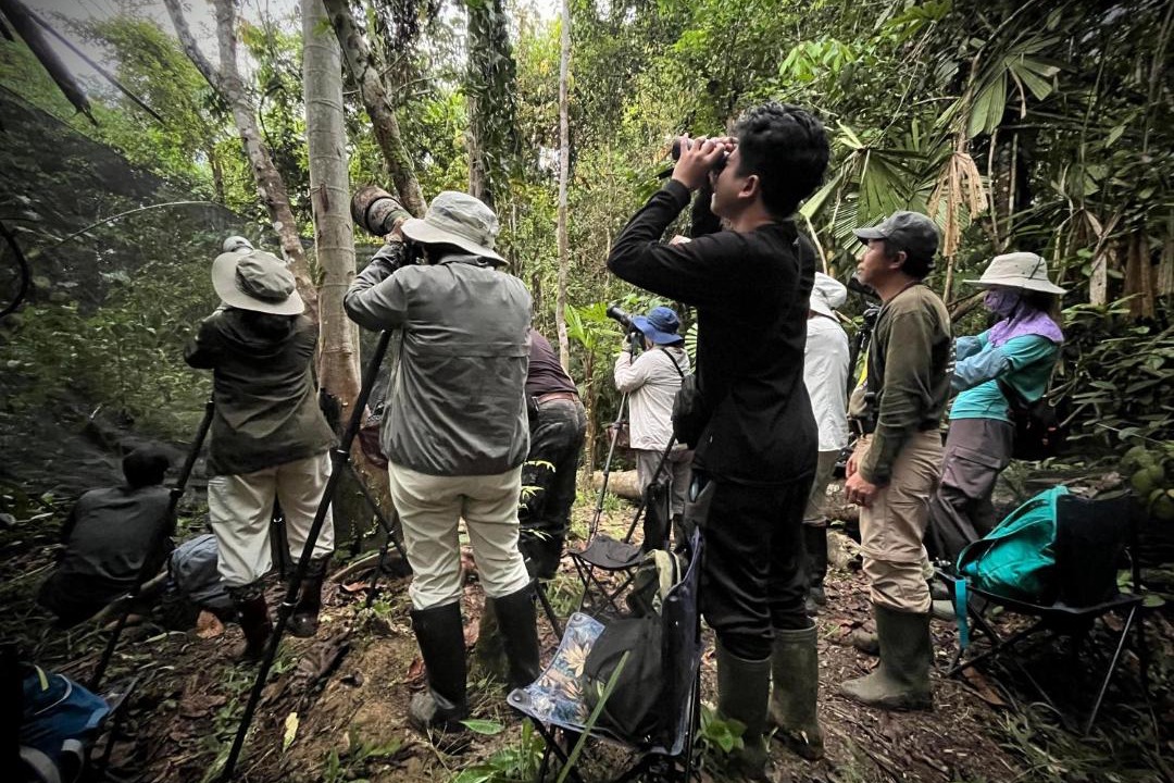 Photo of Others in Waisai