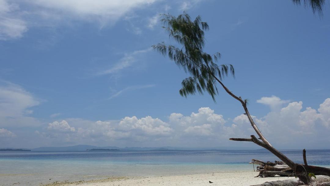 Photo of Others in Raja Ampat
