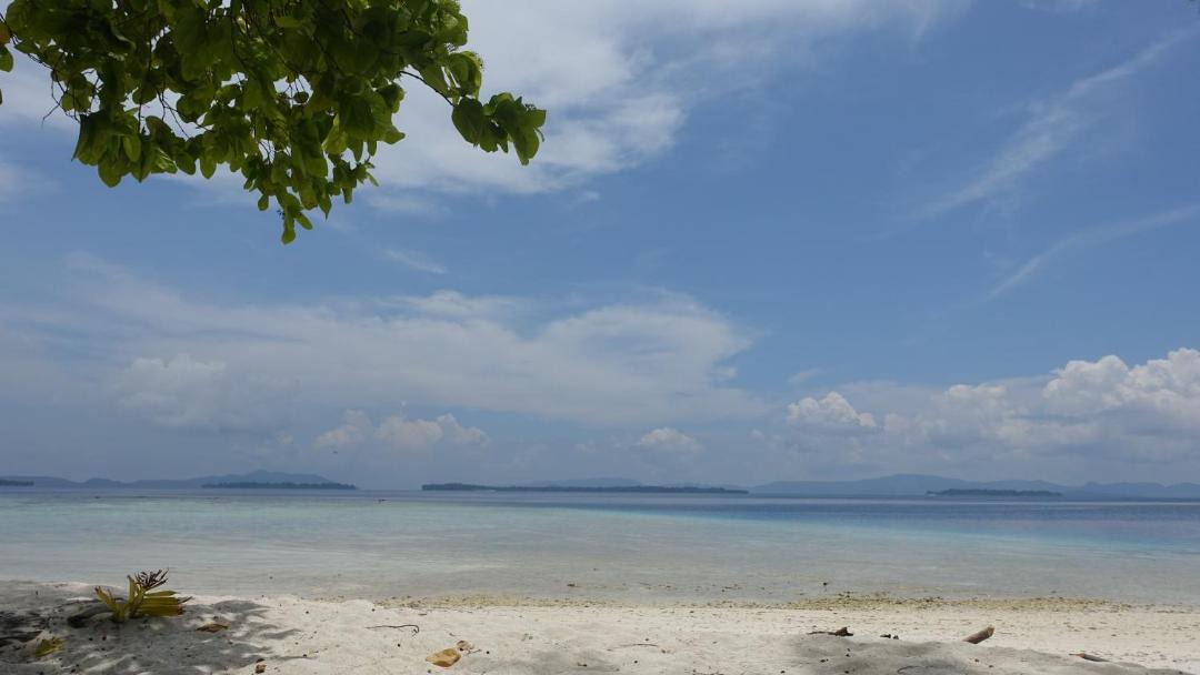 Photo of Others in Raja Ampat