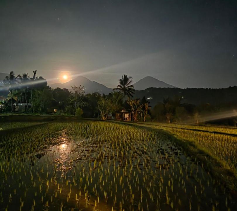 Photo of Others in Munduk