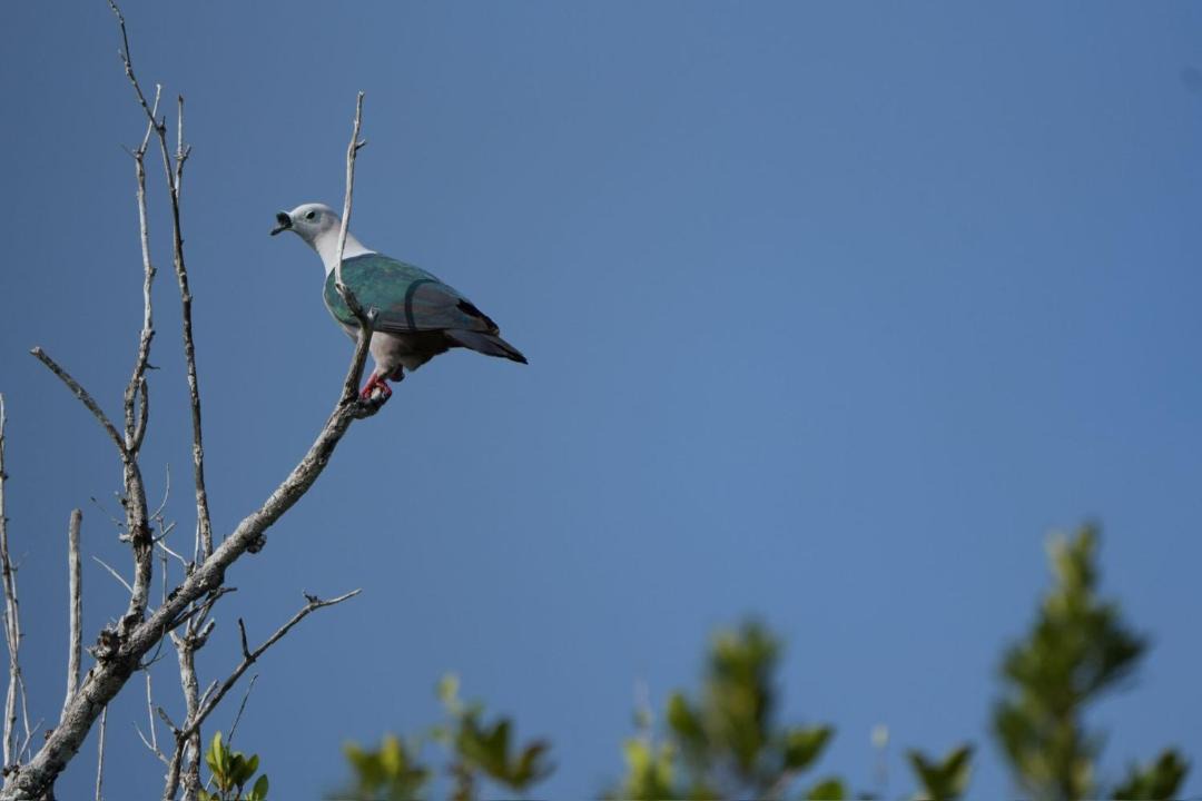 Photo of Others in Arborek