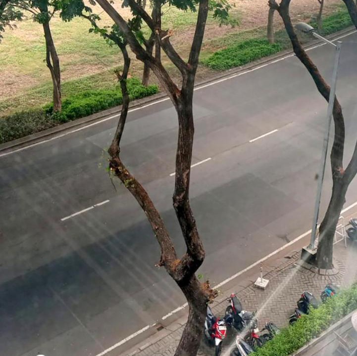 Photo of Others in Surabaya