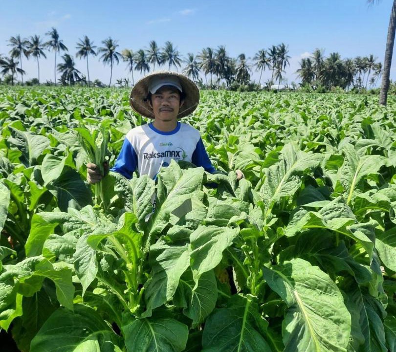 Photo of Others in Kecamatan Labuhan Haji