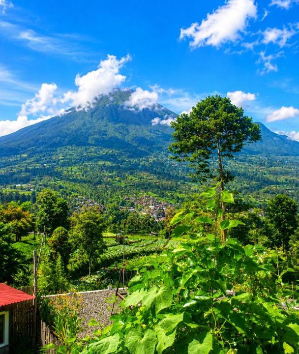 Photo of Others in Wonosobo